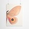 Alt Silk Moth Ii by Chaos &#x26; Wonder Design  Poster Art Print - Americanflat